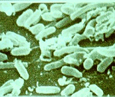 legionella-compliance